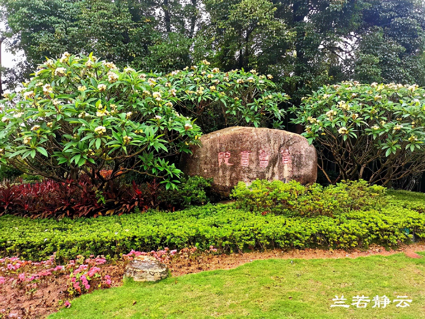 厦门白鹭洲公园陨石展览馆,白鹭洲公园是厦门的宝藏公园