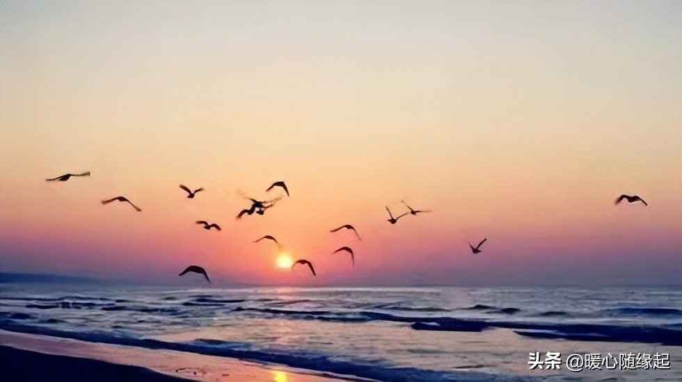 当你心情不好的时候一定要去海边,当你伤心难过怎么办
