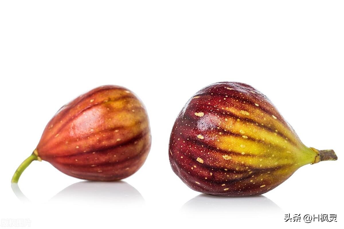 什么水果低糖适合减肥的人吃,减肥低糖水果推荐