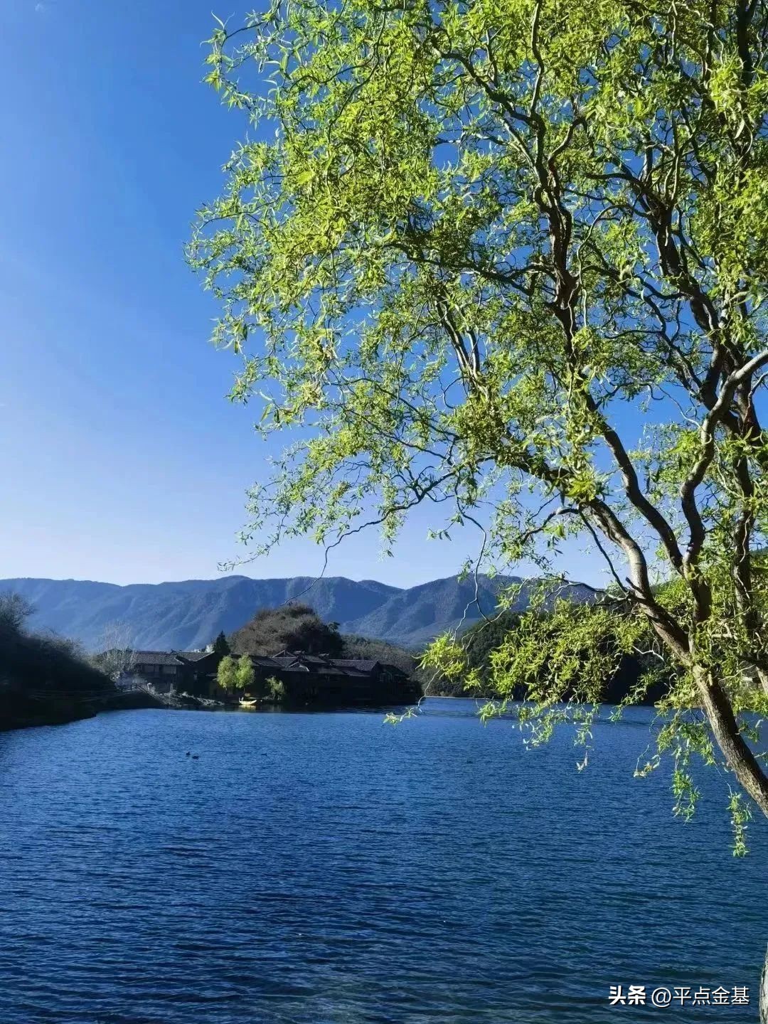 游戏类基金居然涨停了！能追吗？