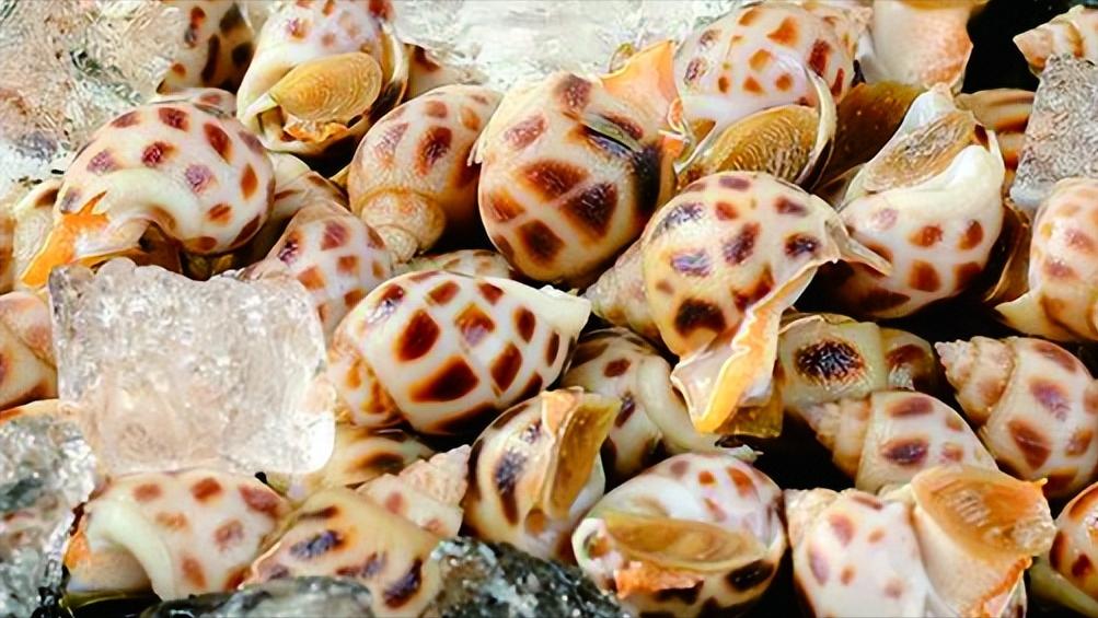 泊来鲜加盟靠谱吗,泊来鲜加盟吉林