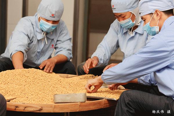 厦门四天游玩攻略大全,最新厦门游玩攻略