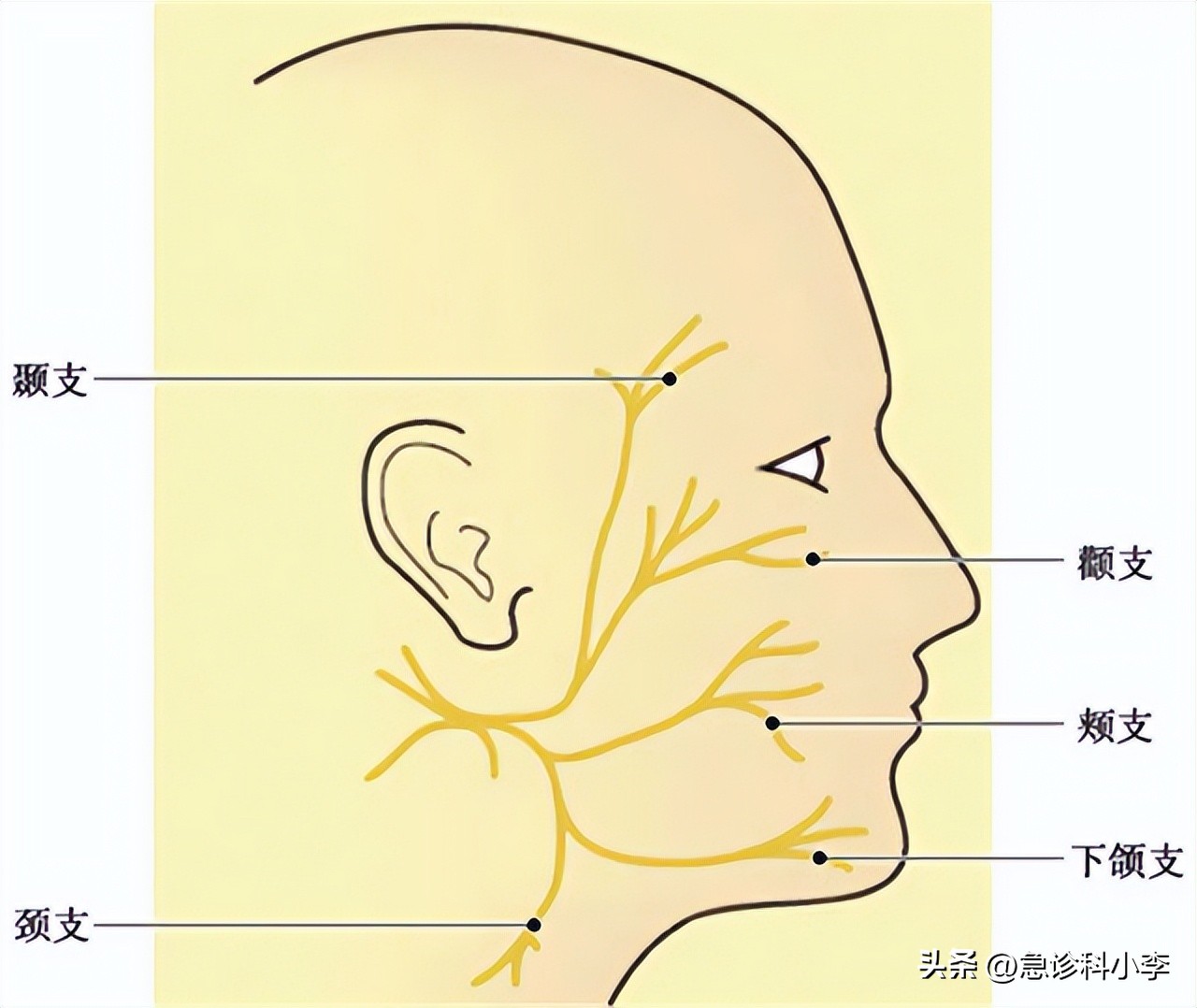 口腔癌有什么症状怎么预防,口腔癌的症状及如何预防