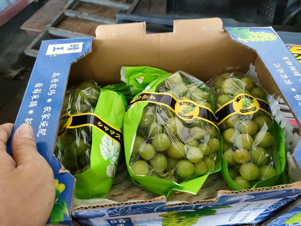 有蜜科技:仓播带货,探索直播新业态