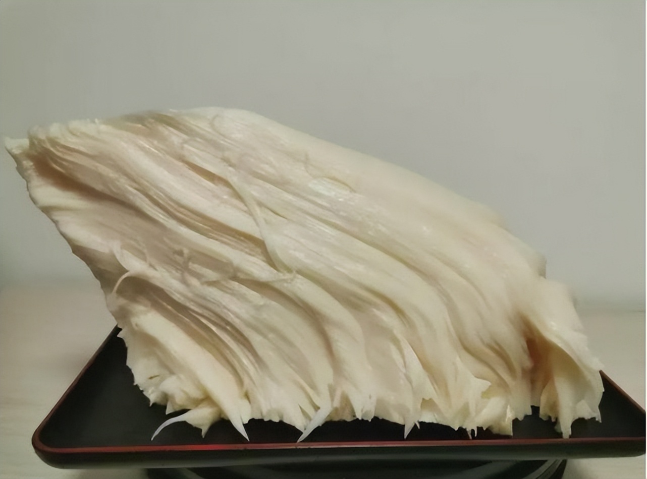 捡到200多斤的太岁能卖多少钱,大连男子捡到太岁