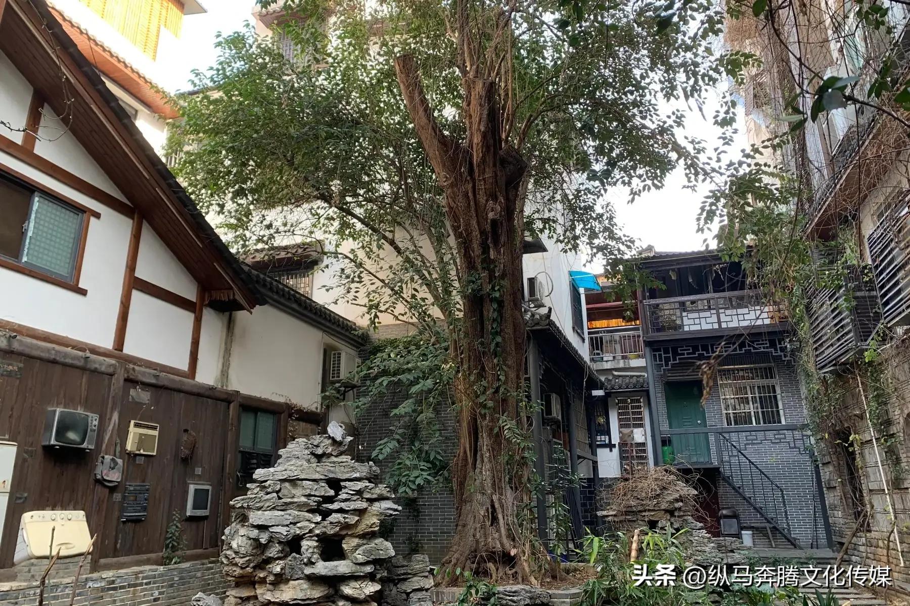 长沙历史文化街区,漫步长沙历史文化街区