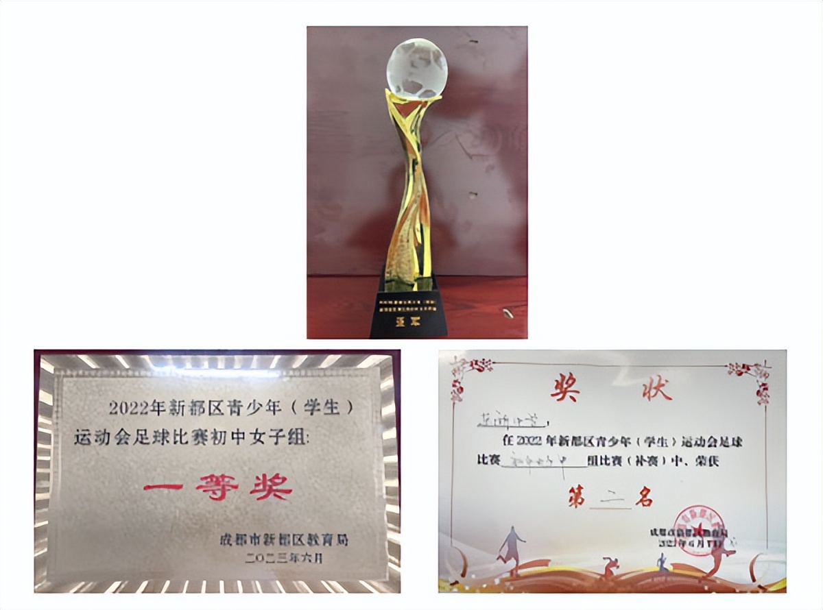 新都东湖中学中考喜报,成都高新顺江学校女子足球比赛