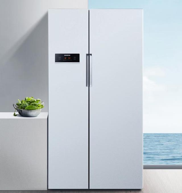 冰箱西门子好还是容声好,容声冰箱和西门子冰箱哪个好