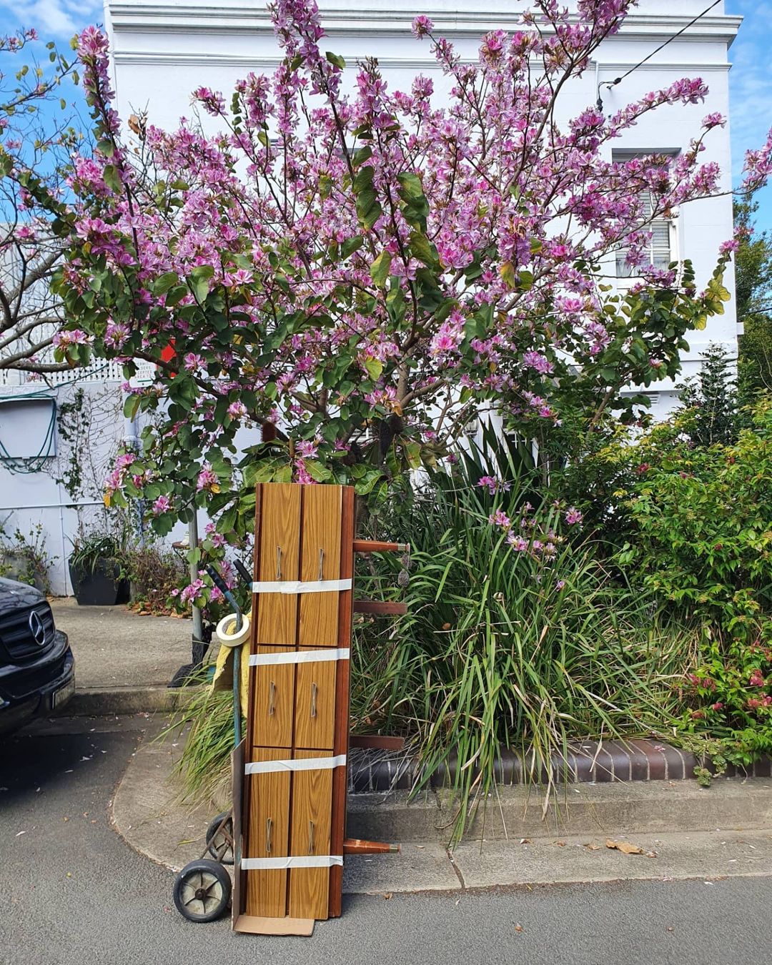 小哥为省钱在悉尼捡垃圾，年赚2万澳币，名包手机电脑随地捡？