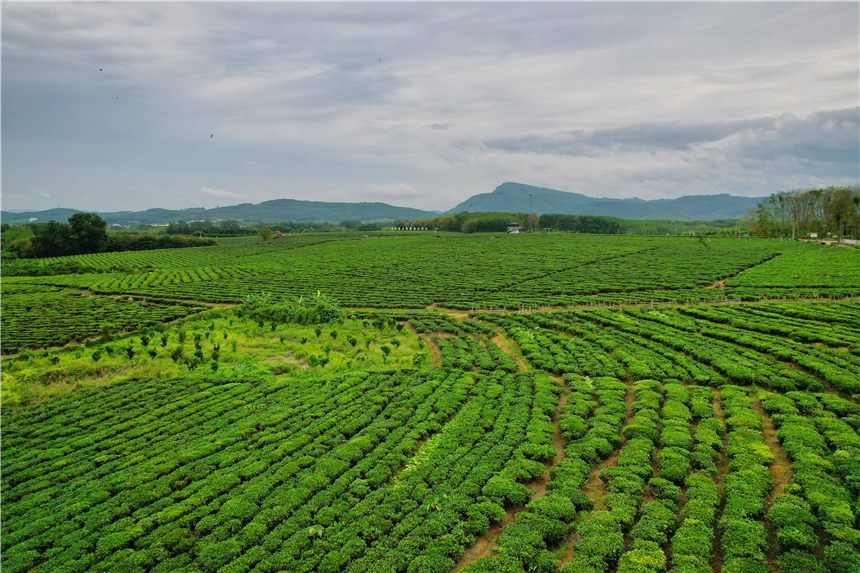 海南东线自驾乡村游攻略,海南原始村落自驾游