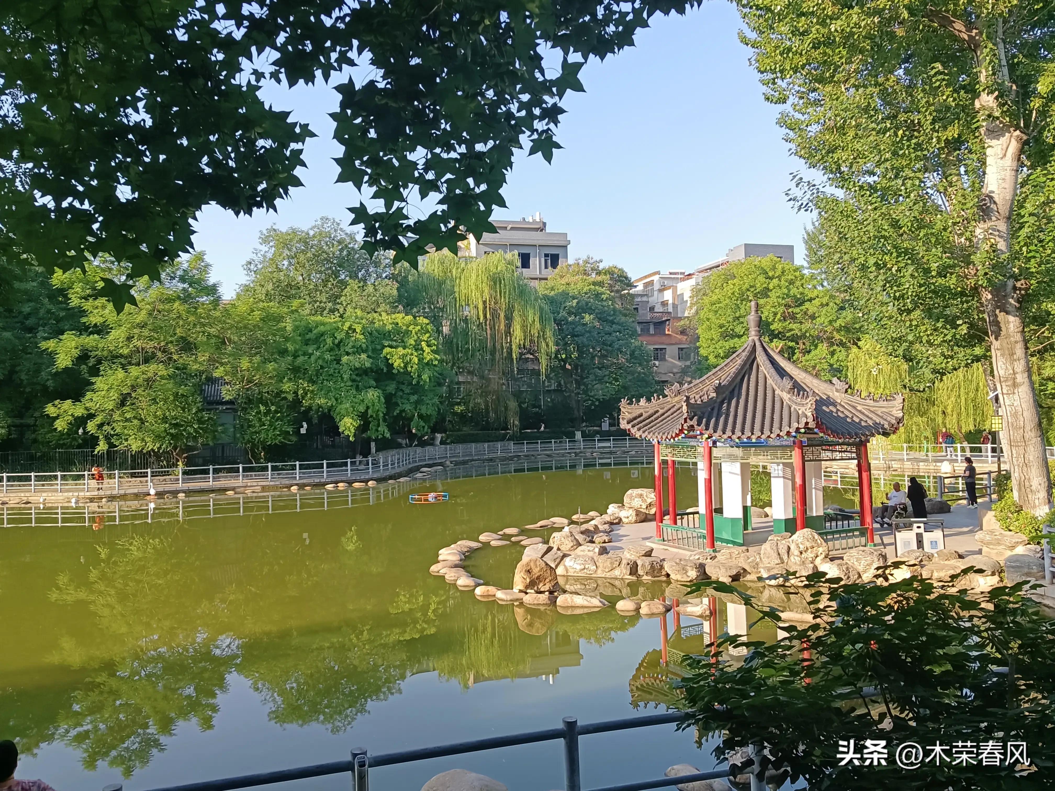 莲湖公园看荷花几点合适,莲湖公园荷花怎么走