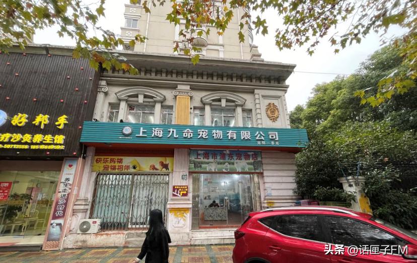 宠物狗销售陷阱,宠物销售内幕