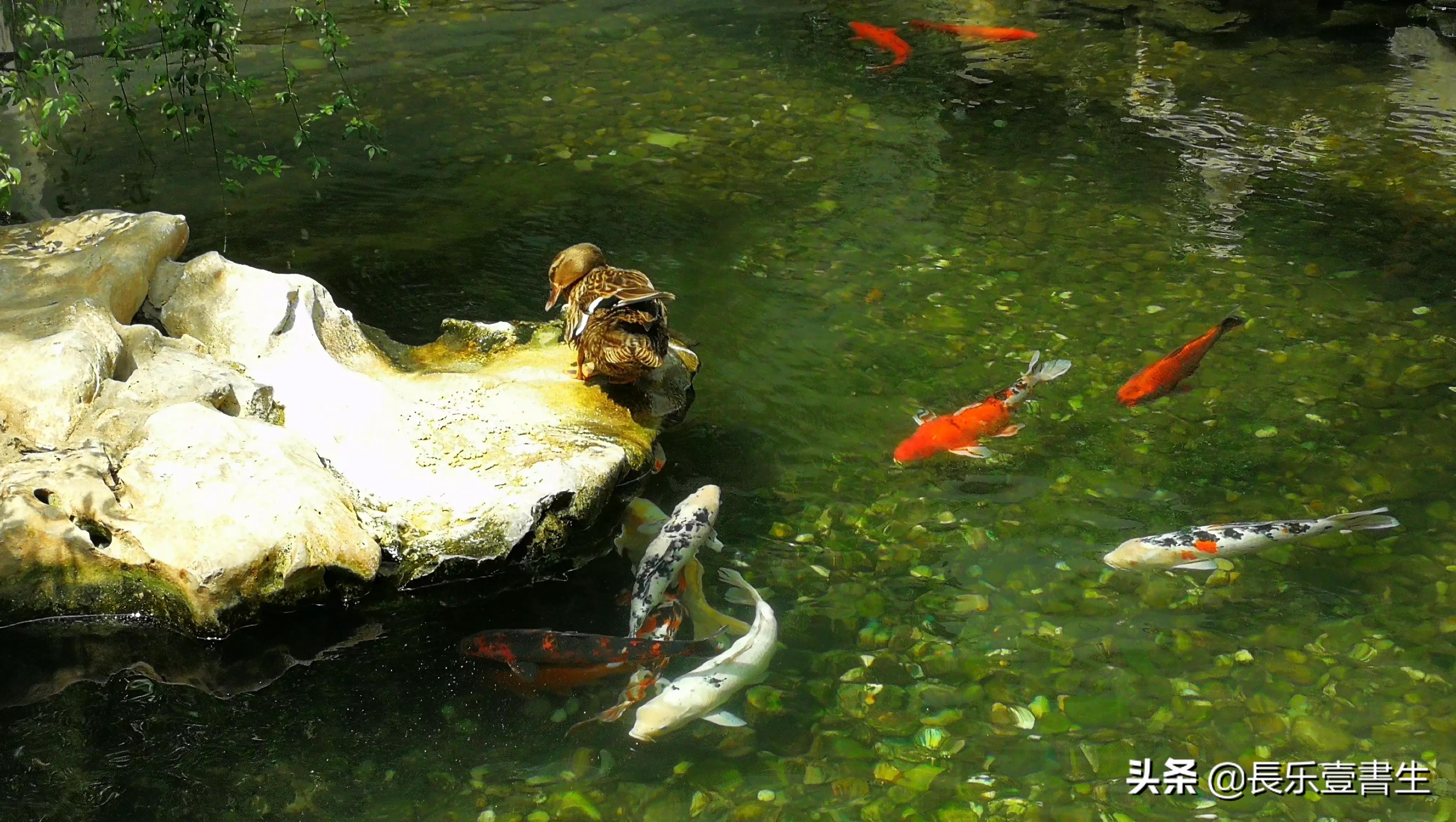 中国园林博物馆游览时间表,小众游玩强烈推荐北京园林博物馆