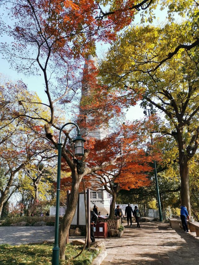 杭州周边赏秋好去处,杭州赏秋最佳攻略