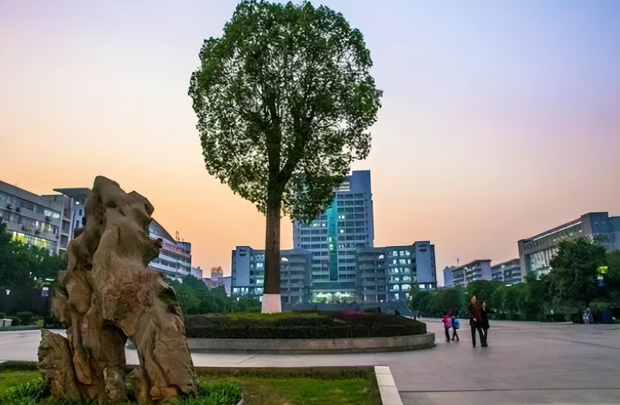 聊聊南华大学：一所撬动科研“杠杆”，激扬人才“活水”的大学