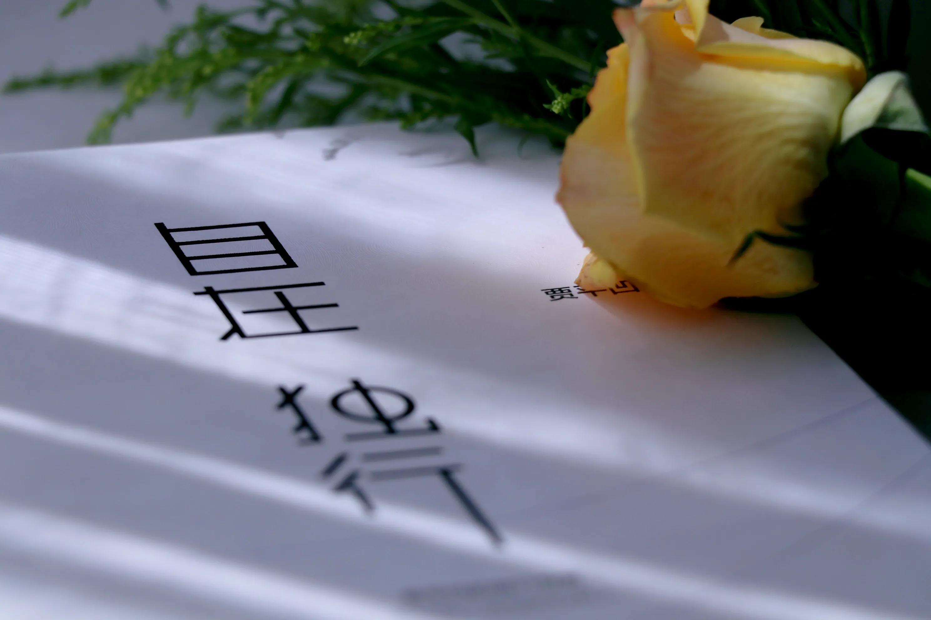 鍒摥鍒椆鍒洖澶存垜涓嶅湪鍥剧墖,鍒摥鍒兂鍥炲ご鎴戜笉鍦ㄨ儗鏅浘