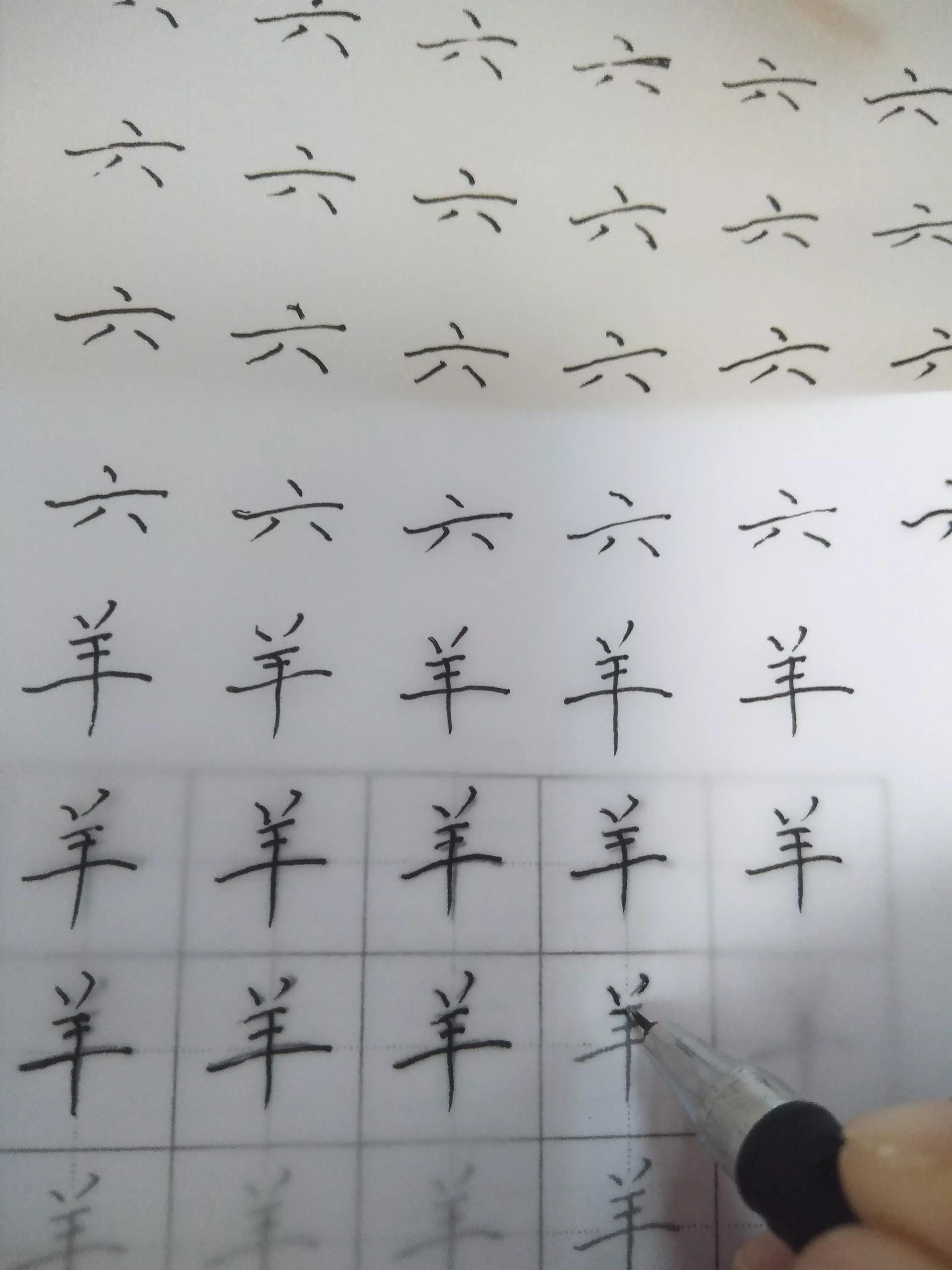 摹字练习第十五天：六羊