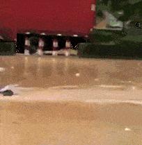 如何评价这个女主持人，主持了一半把*袜丝**脱了？