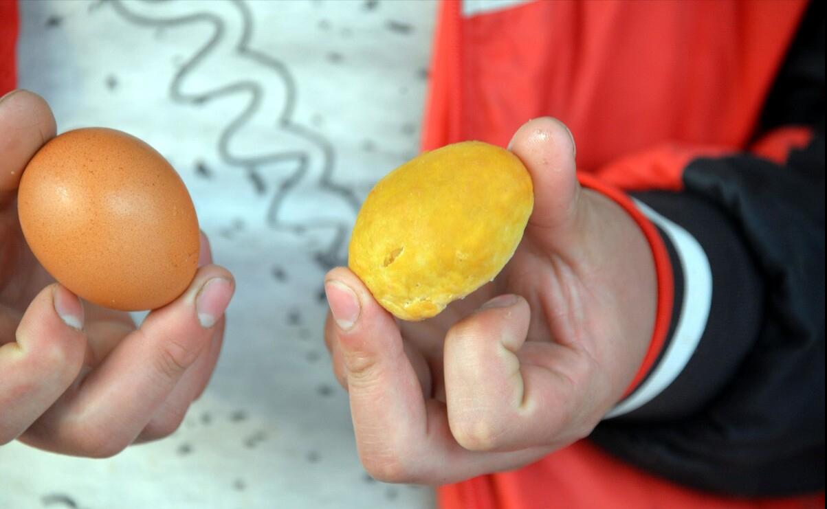 鸡宝一克能卖7-25万是真的吗,鸡宝真的能价值百万吗