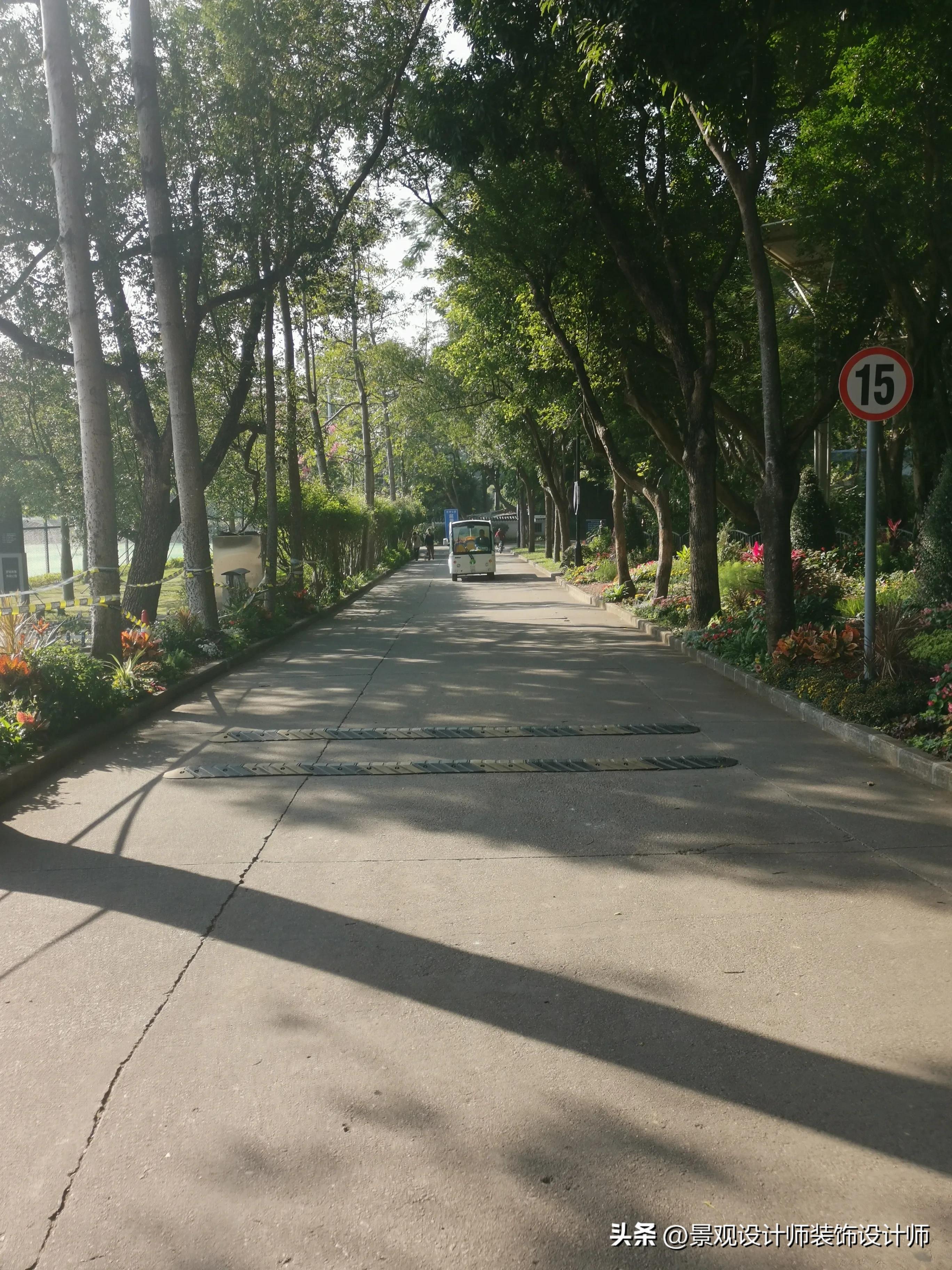 深圳市东湖公园广场舞,深圳市东湖公园收费标准