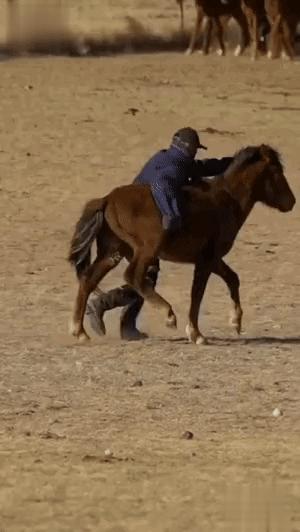 扑克牌打法,搏克主要动作教学图解