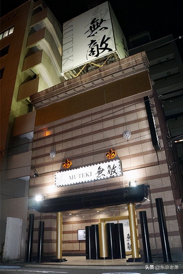 粉红沙龙适合什么地区,粉红沙龙是什么