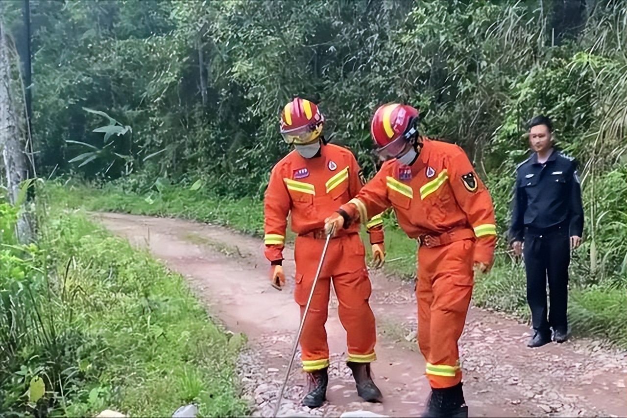 眼镜王蛇为什么不怕雄黄,眼镜王蛇为什么怕雄黄