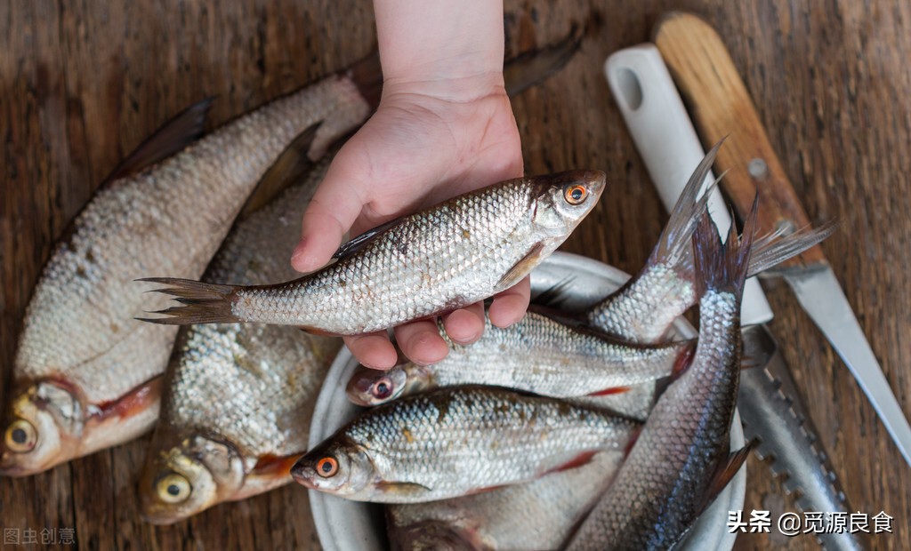 买鲫鱼竿好还是买综合竿,买鲫鱼大的好还是小的好