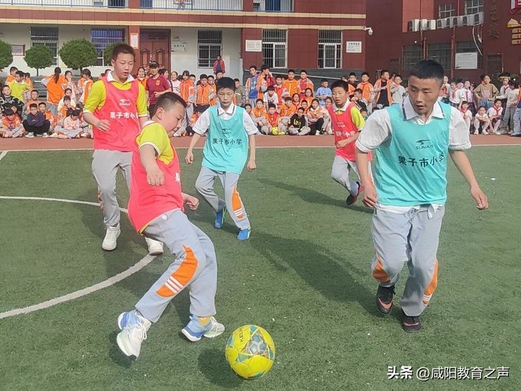 渭城区足球校园杯,渭城区第六届校园足球联赛五年级