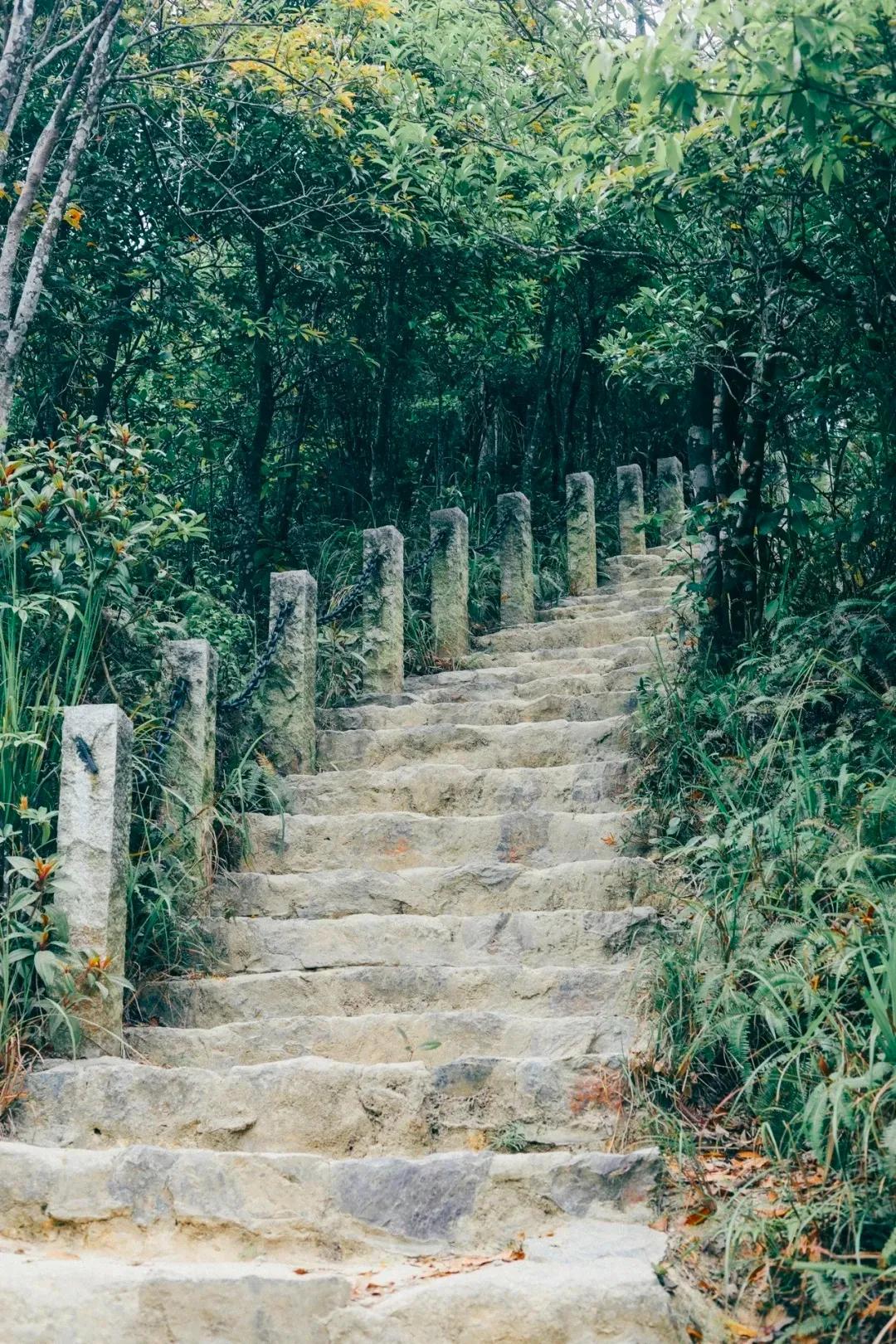 深圳最值得爬的景点,深圳十大最值得爬的山