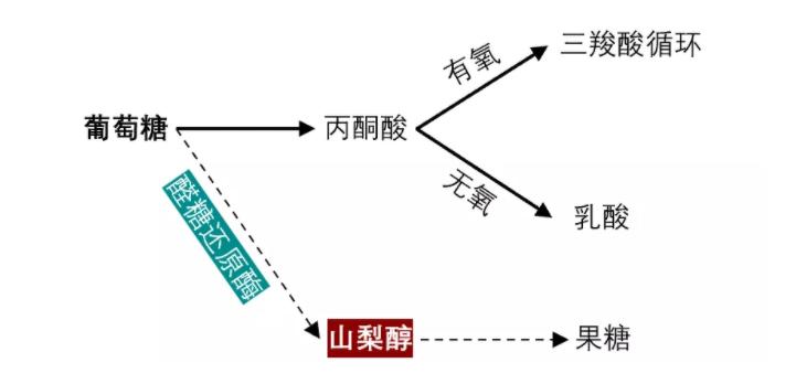 治疗糖尿病周围神经病变,有哪些药物?不止甲钴胺,这3种也不错