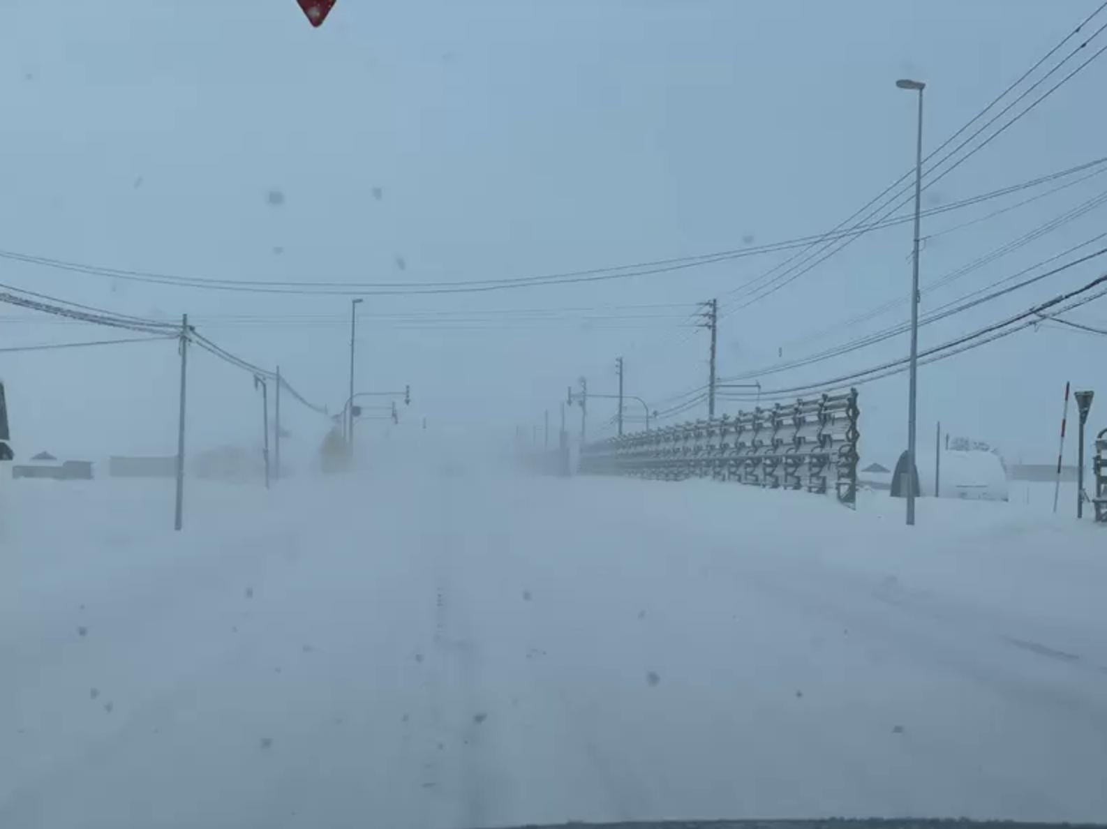 本子在召唤？日本阿宅冰天雪地驱车数小时，只为购买漫展门票！