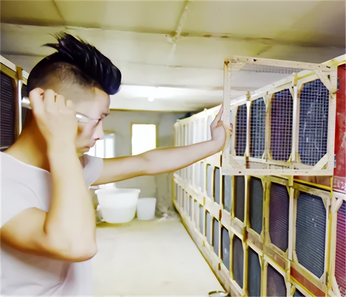 九零后小伙山上养土鸡年赚300百万,农村小伙养蛇致富