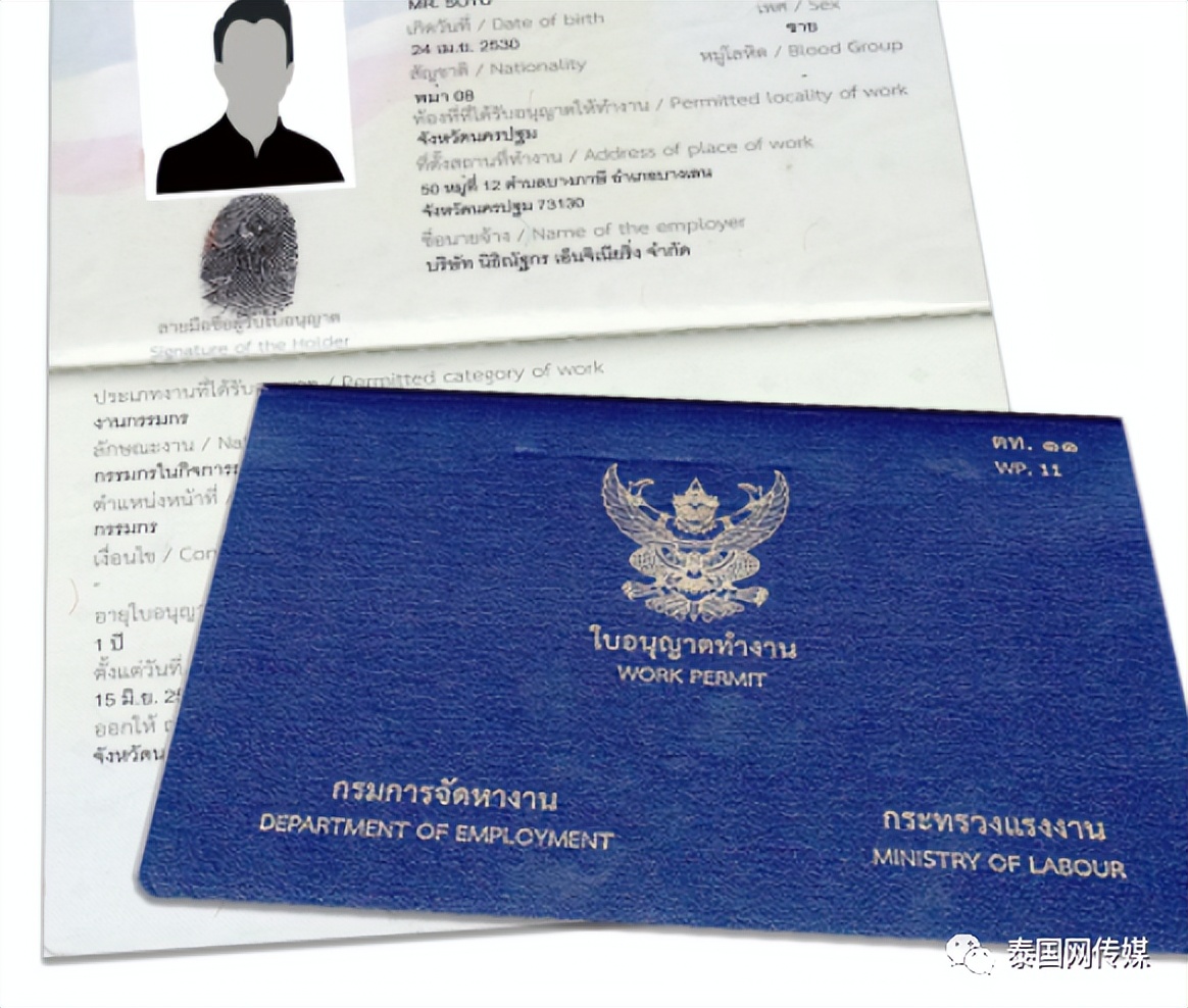 泰国网购诈骗案,泰国清迈网购诈骗被抓