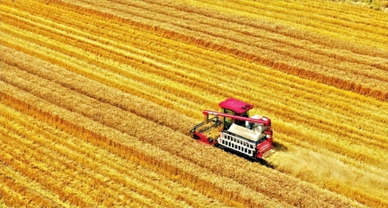 邾城街道培育示范基地推行智慧农业始终坚守“粮地姓粮”“农地姓农”
