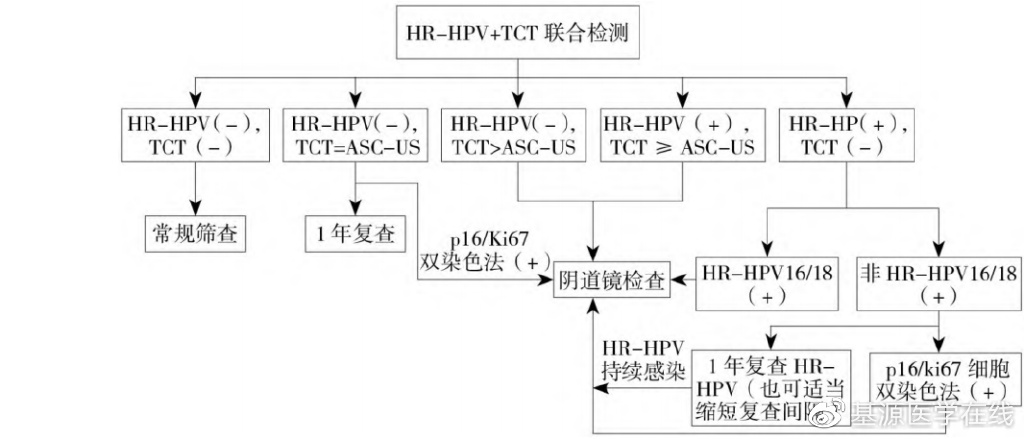 女性宫颈疾病筛查项目,老年人子宫病变怎么查