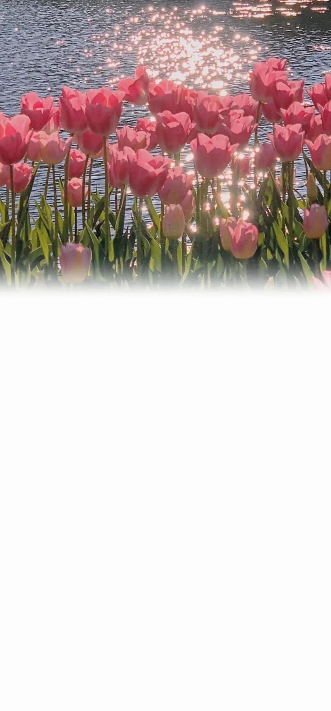 渐变晕染聊天背景图,渐变式聊天背景图