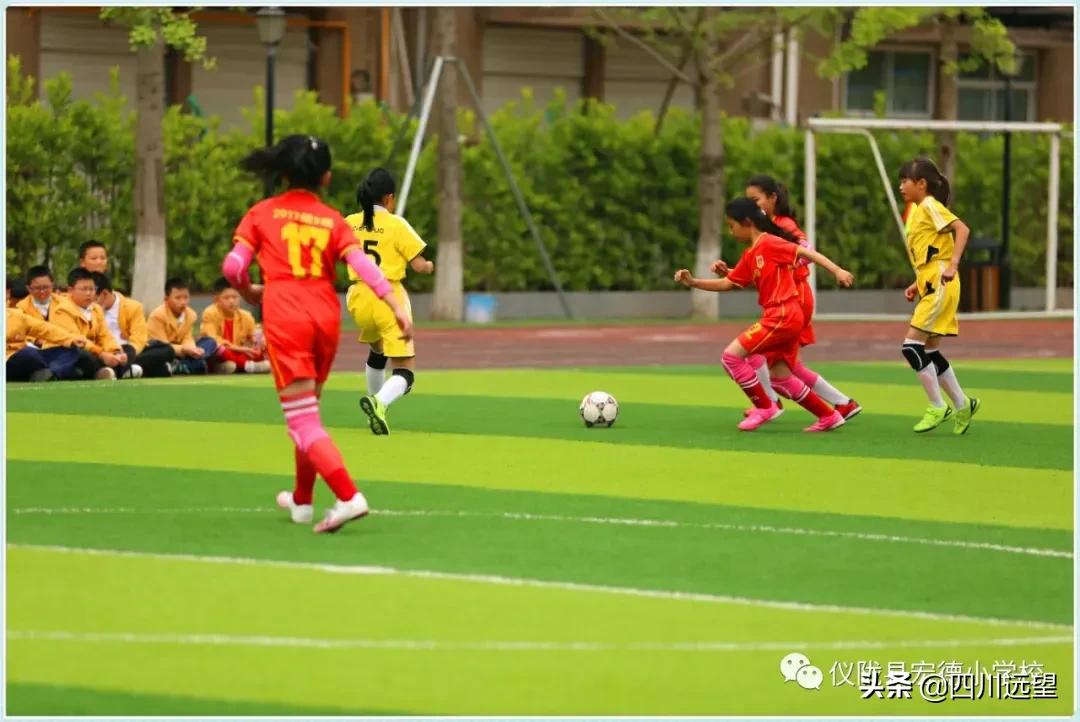 仪陇县新政小学足球联赛2023,仪陇县新政小学第九届足球比赛