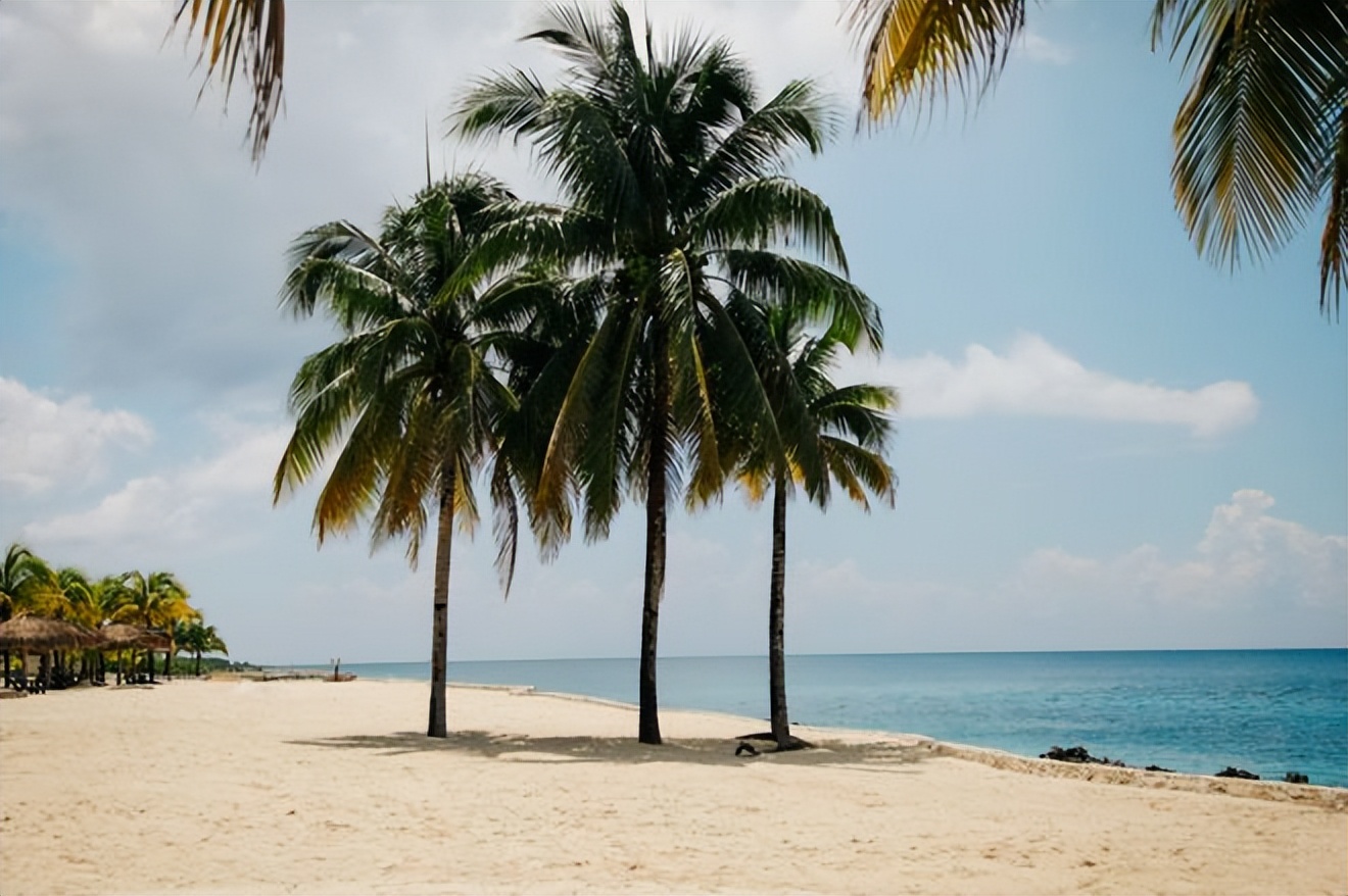 三亚民宿租车推荐,“阳康”们涌向三亚