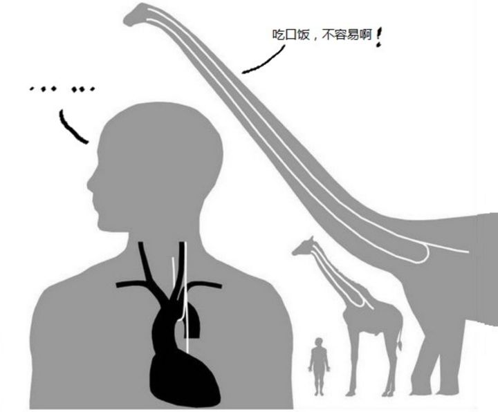人类到底是原住民还是外星移民,人类是不是星际移民