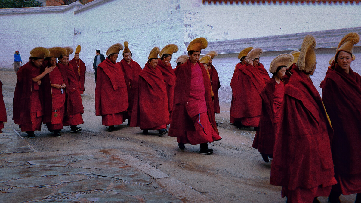 小伙雪夜救人获赠一颗“小泥丸”，遗忘杂物间，38年后被估值两亿