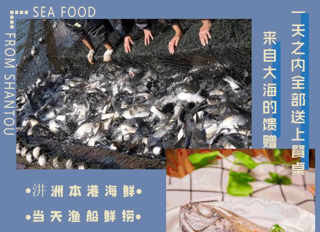 在鲜味江湖里，广东这座小城堪称食客天堂