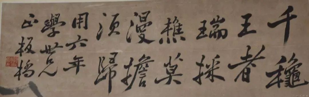 宸ョ瑪鐢绘潹鏅箟鐢诲唽,鏉滈箖鏉ㄦ櫘涔夊畬鏁寸増