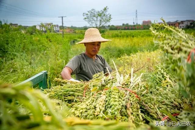 农村耕地回收政策,国家回收耕地多少钱