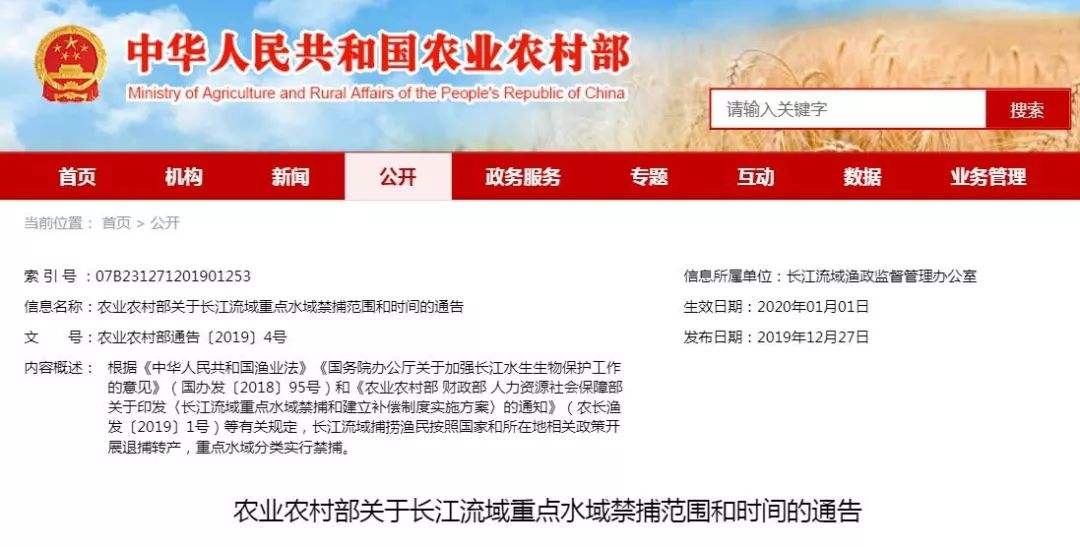 十年禁渔看长江鱼群物种更多样,长江禁渔仅两年就鱼群翻涌