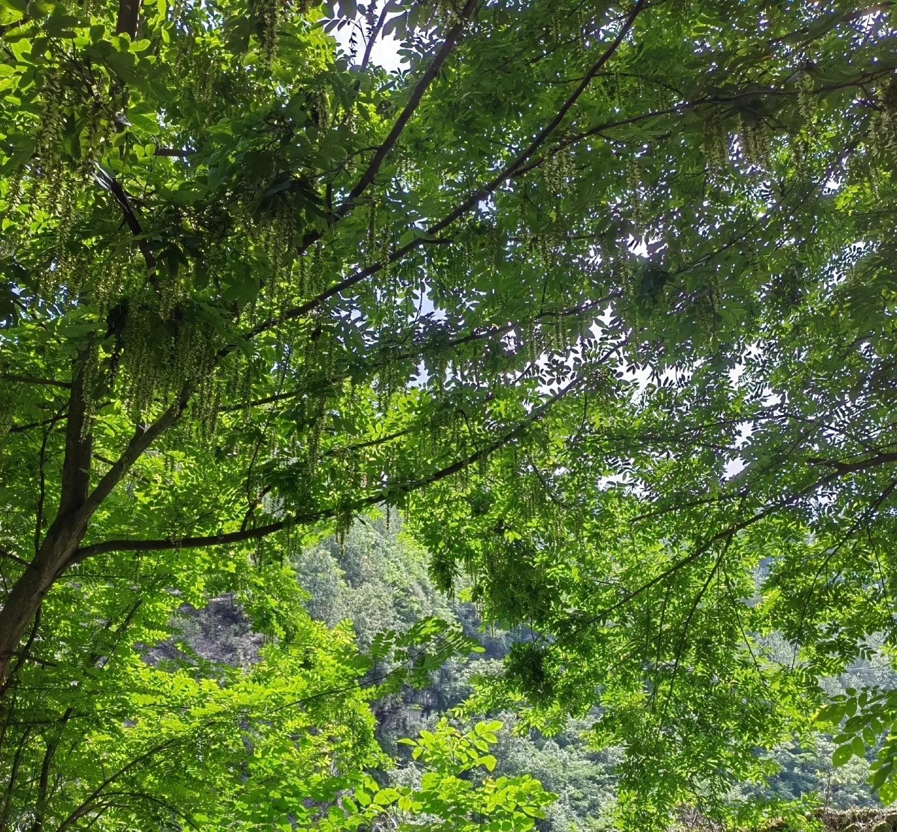 怎么说话表达有条理有逻辑,能说会道的表达能力怎么写