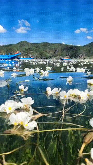 走遍中国最美城市,走遍中国最美的路