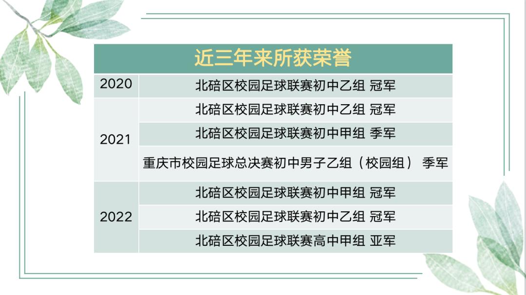重庆江北校园足球联赛,重庆市江北区足球队