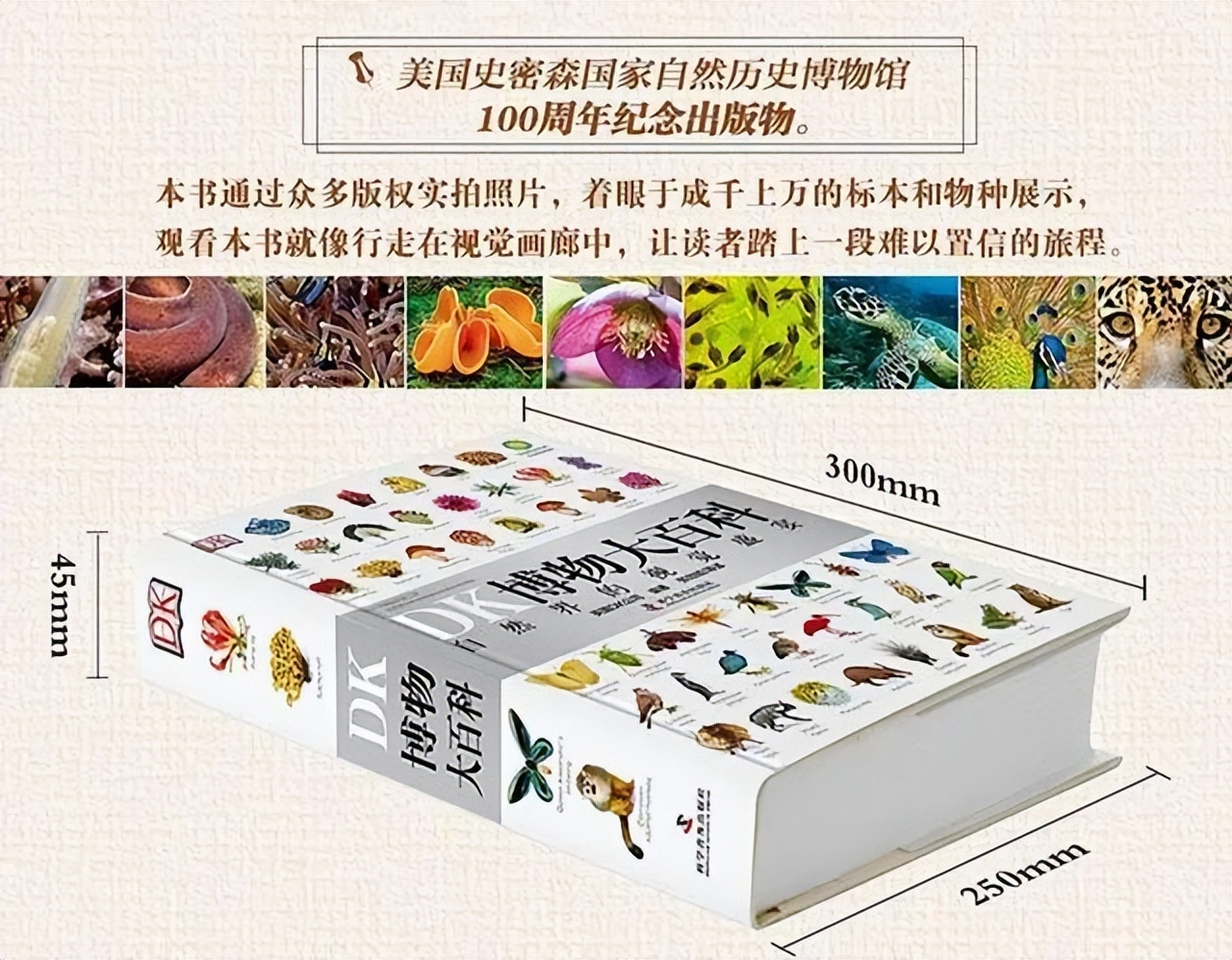 新东方直播间董宇辉录屏,新东方直播间董宇辉讲英语