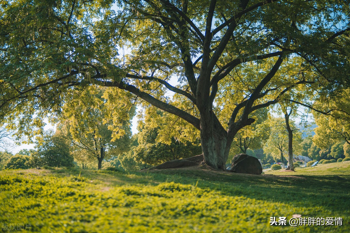 人生百味尝了一味,人生百味酸甜苦辣咸都尝尽